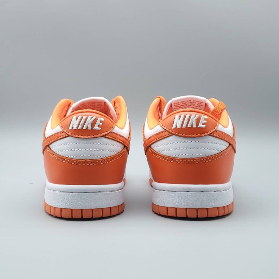 Dunk Low Retro SP