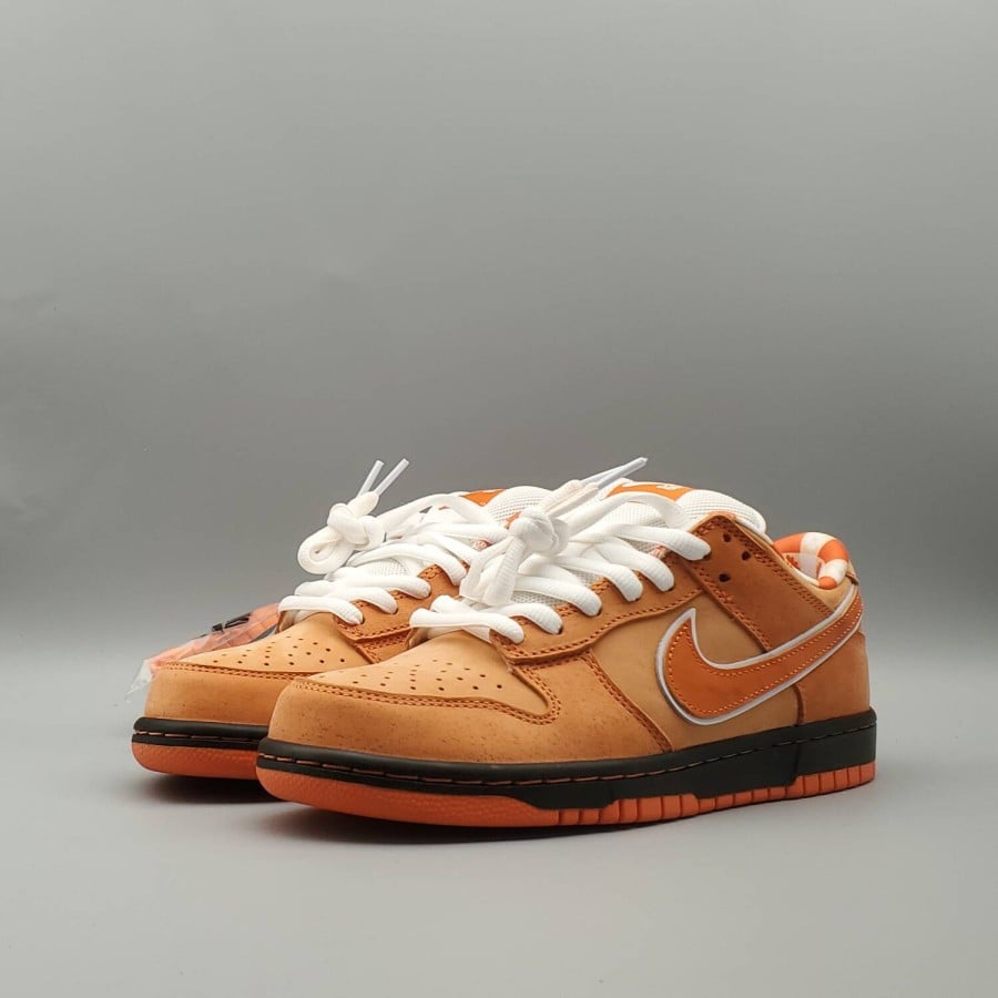 Concepts x Dunk Low SB