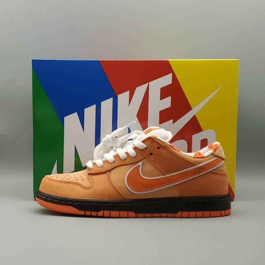 Concepts x Dunk Low SB