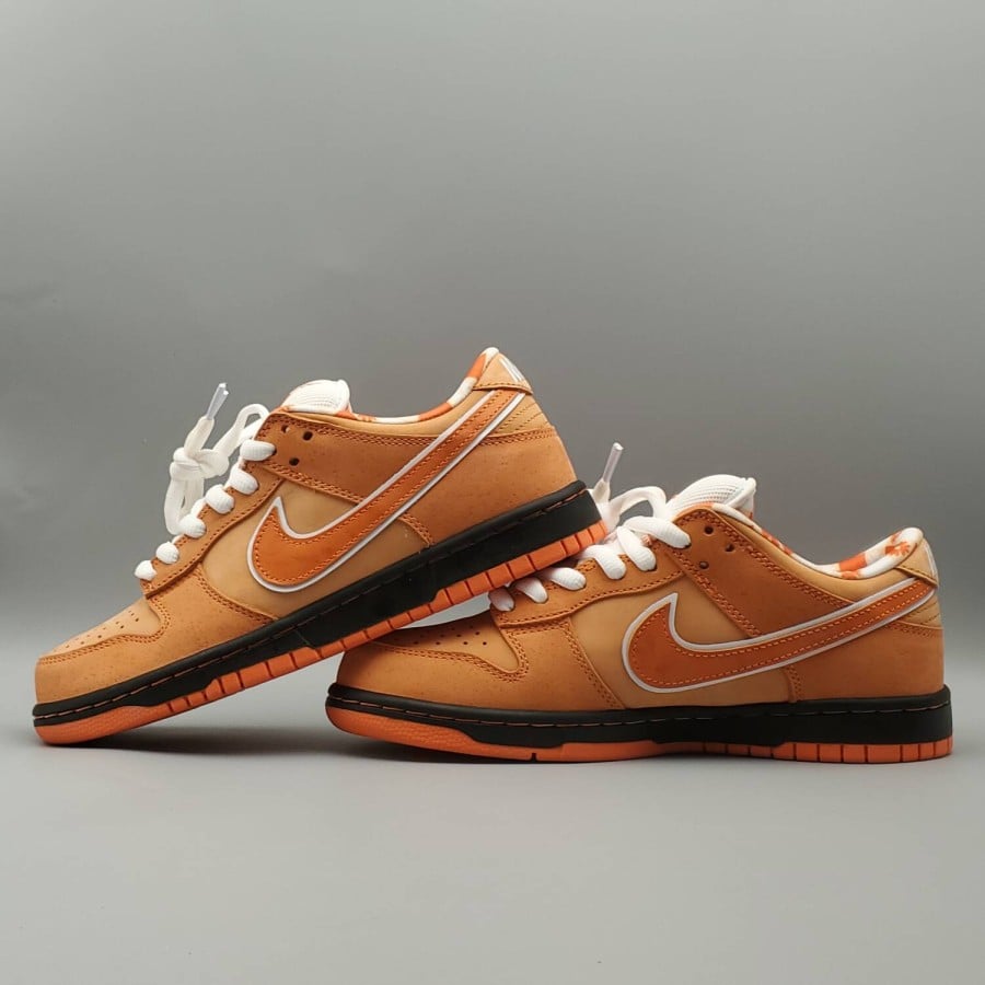 Concepts x Dunk Low SB