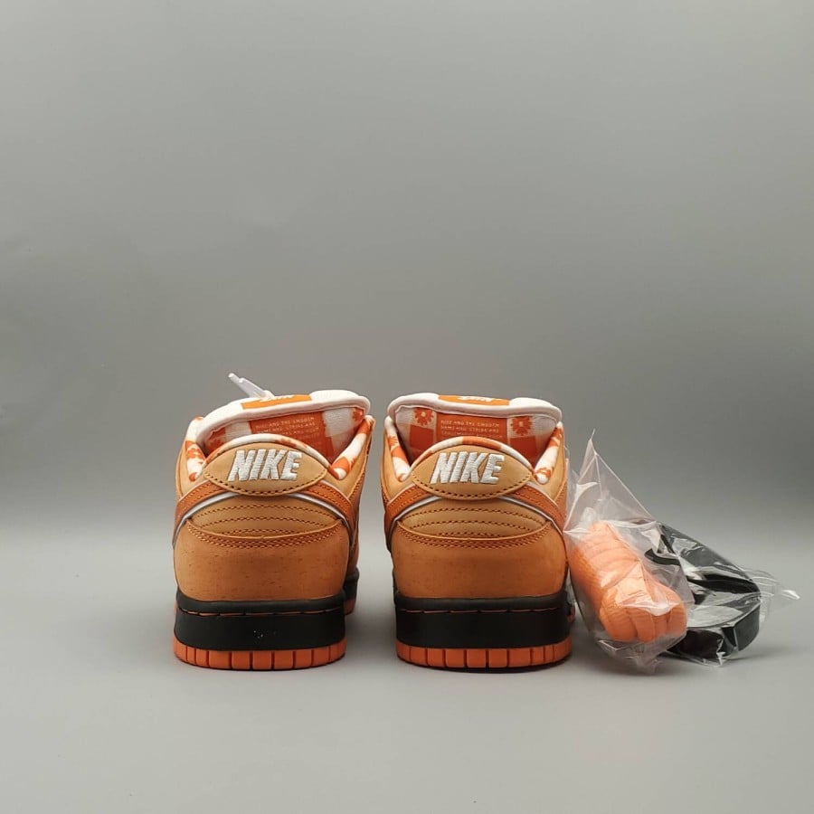 Concepts x Dunk Low SB