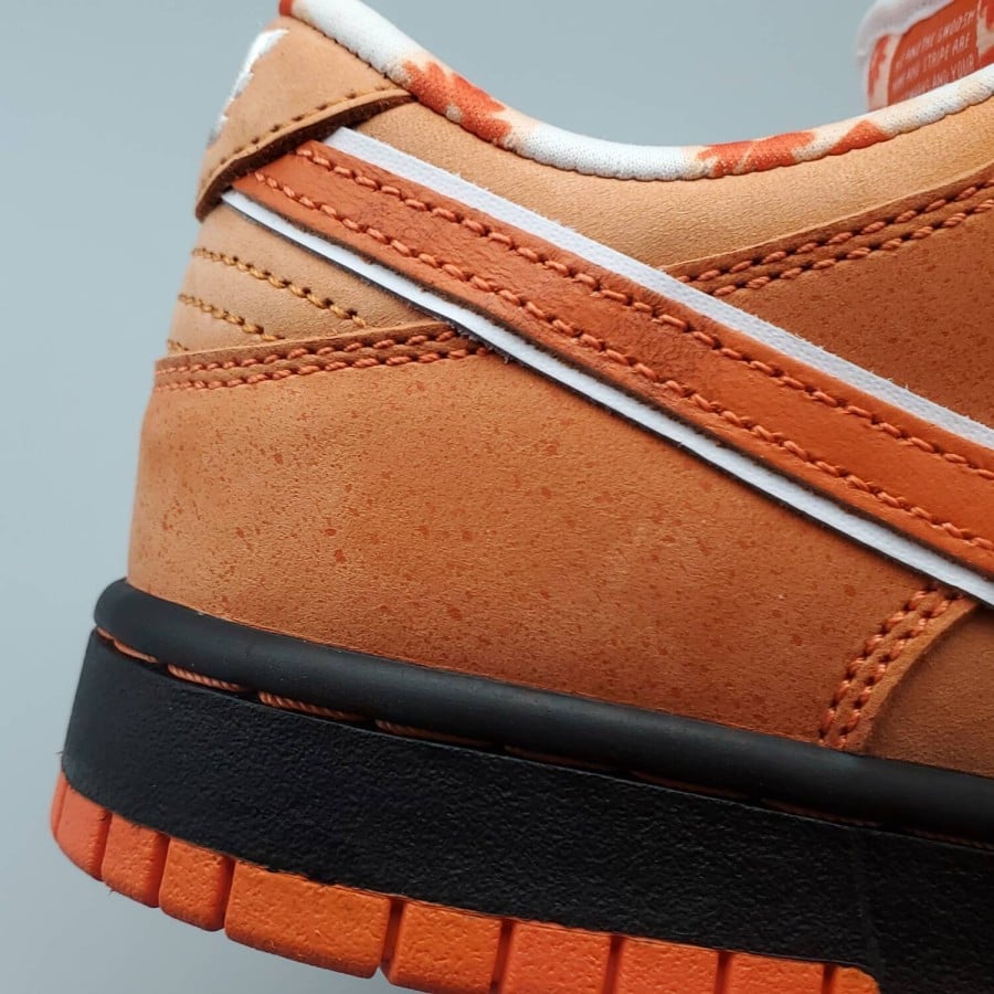 Concepts x Dunk Low SB