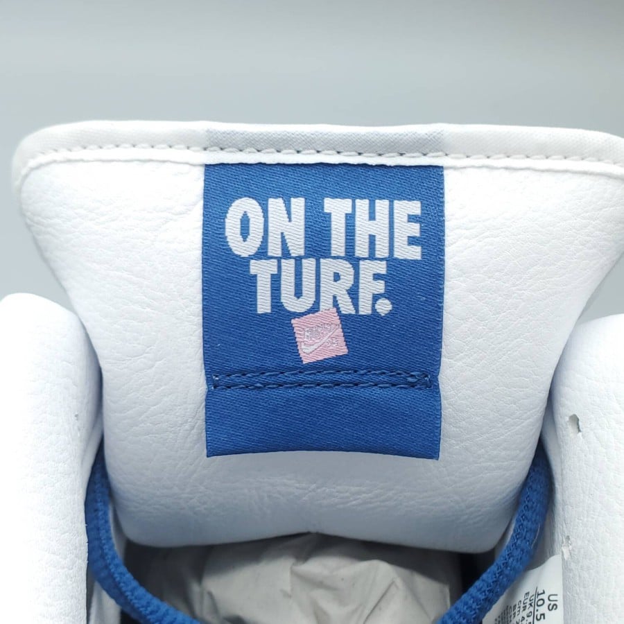 Born x Raised x Dunk Low SB