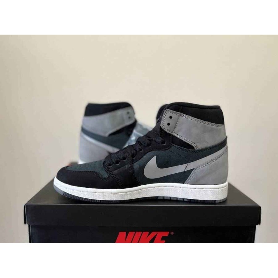 Air Jordan 1 High Element Gore-Tex