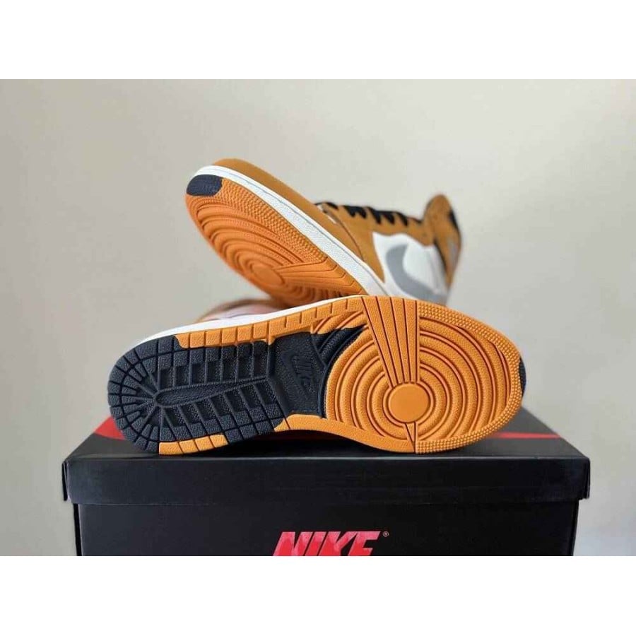Air Jordan 1 High Element Gore-Tex