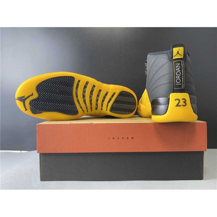Air Jordan 12 Retro