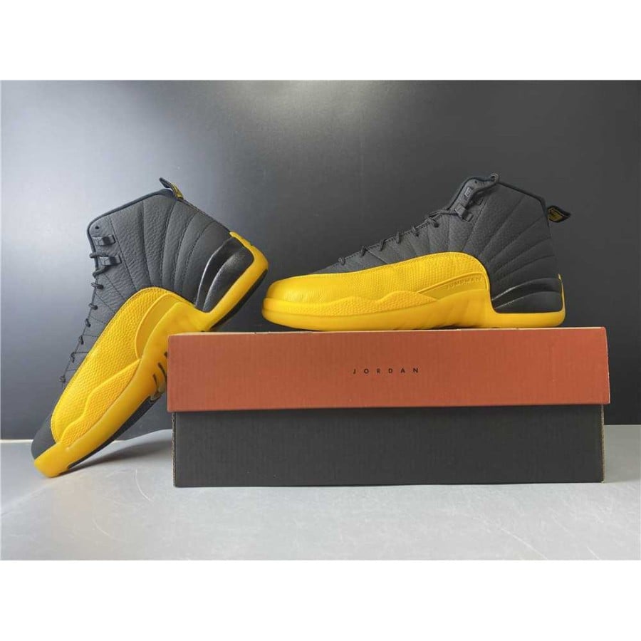 Air Jordan 12 Retro