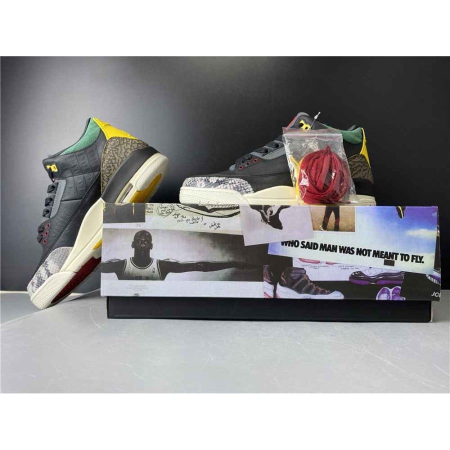 Air Jordan 3 Retro SE