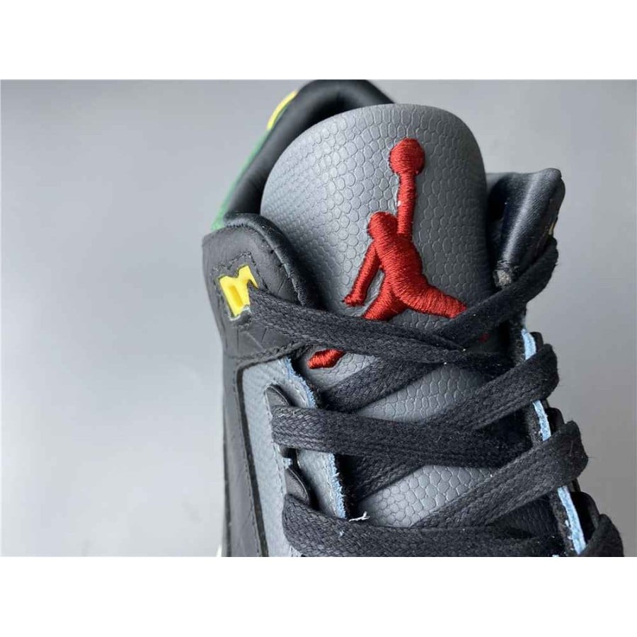 Air Jordan 3 Retro SE