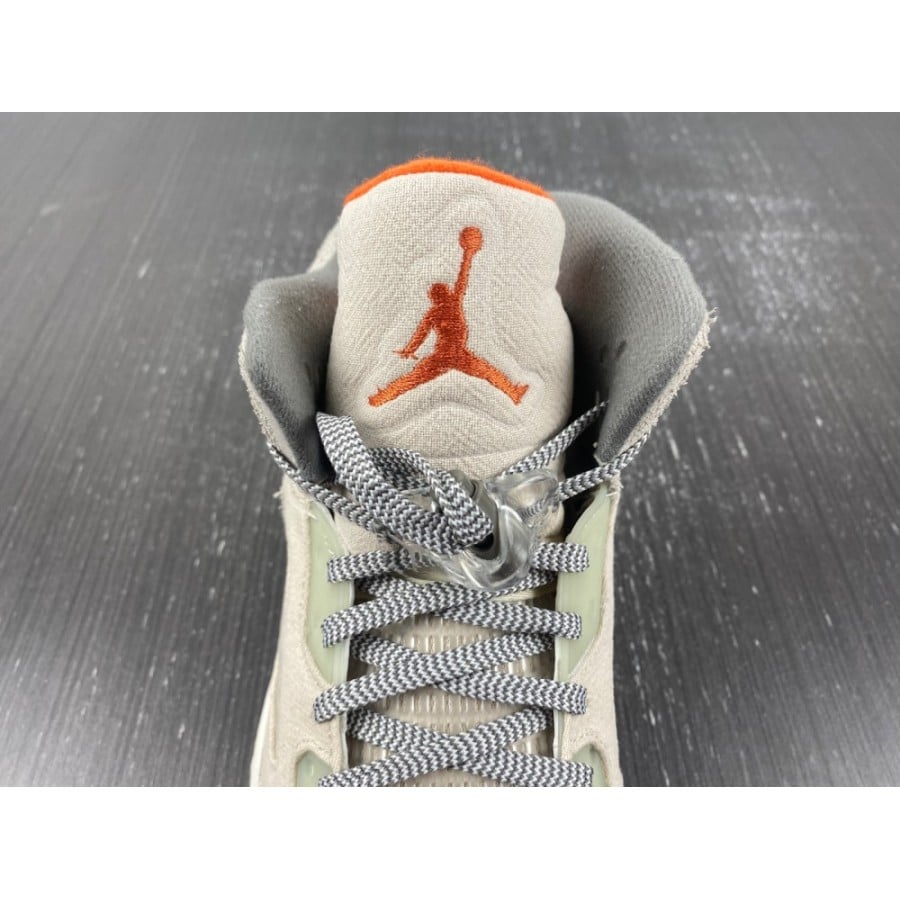 Air Jordan 5 Retro SE