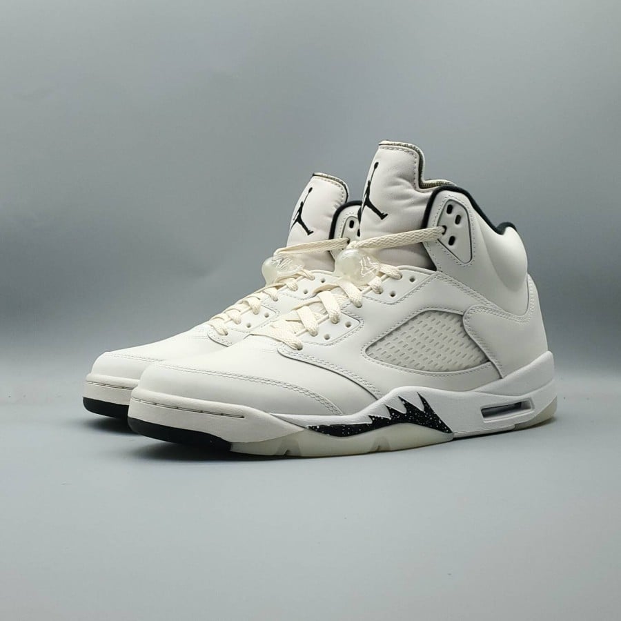 Air Jordan 5 Retro SE