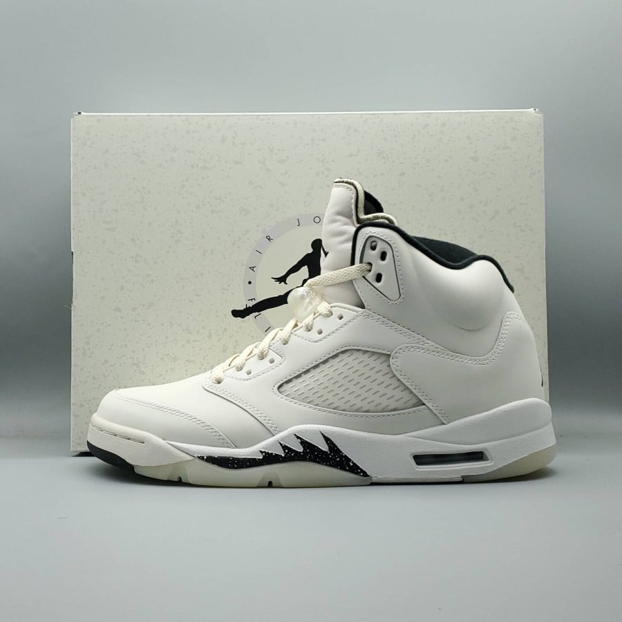 Air Jordan 5 Retro SE