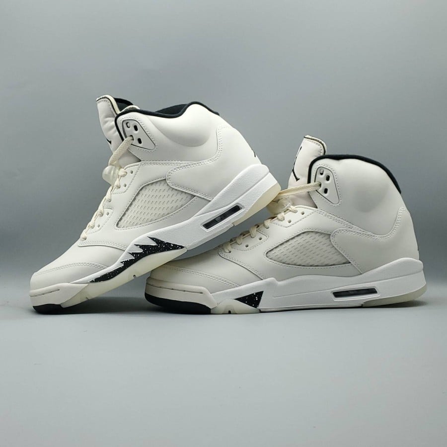 Air Jordan 5 Retro SE