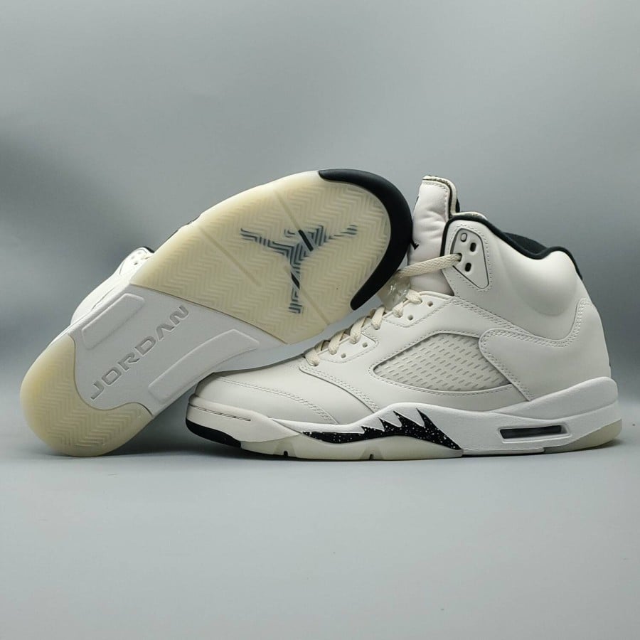 Air Jordan 5 Retro SE