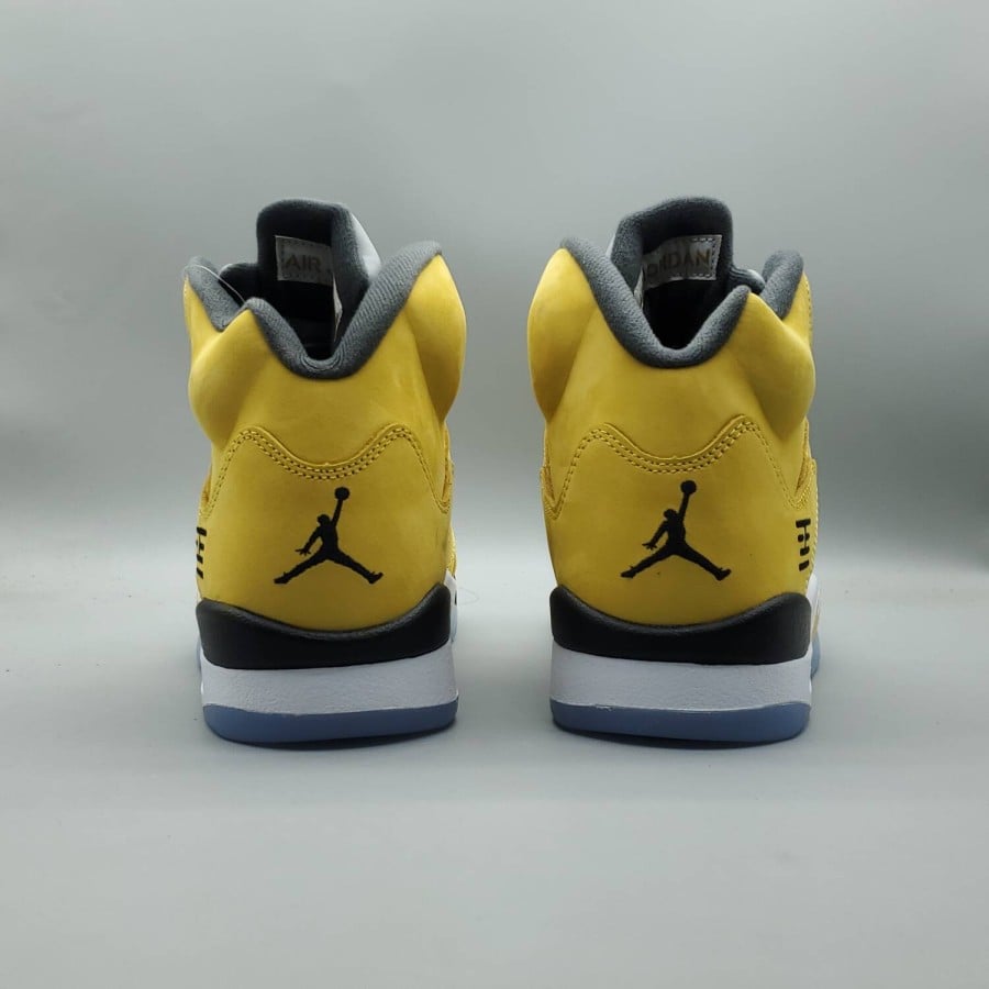 Air Jordan 5 Retro T23