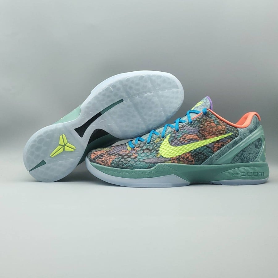 Zoom Kobe 6
